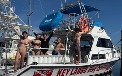 Dive Certification (Key Largo)
